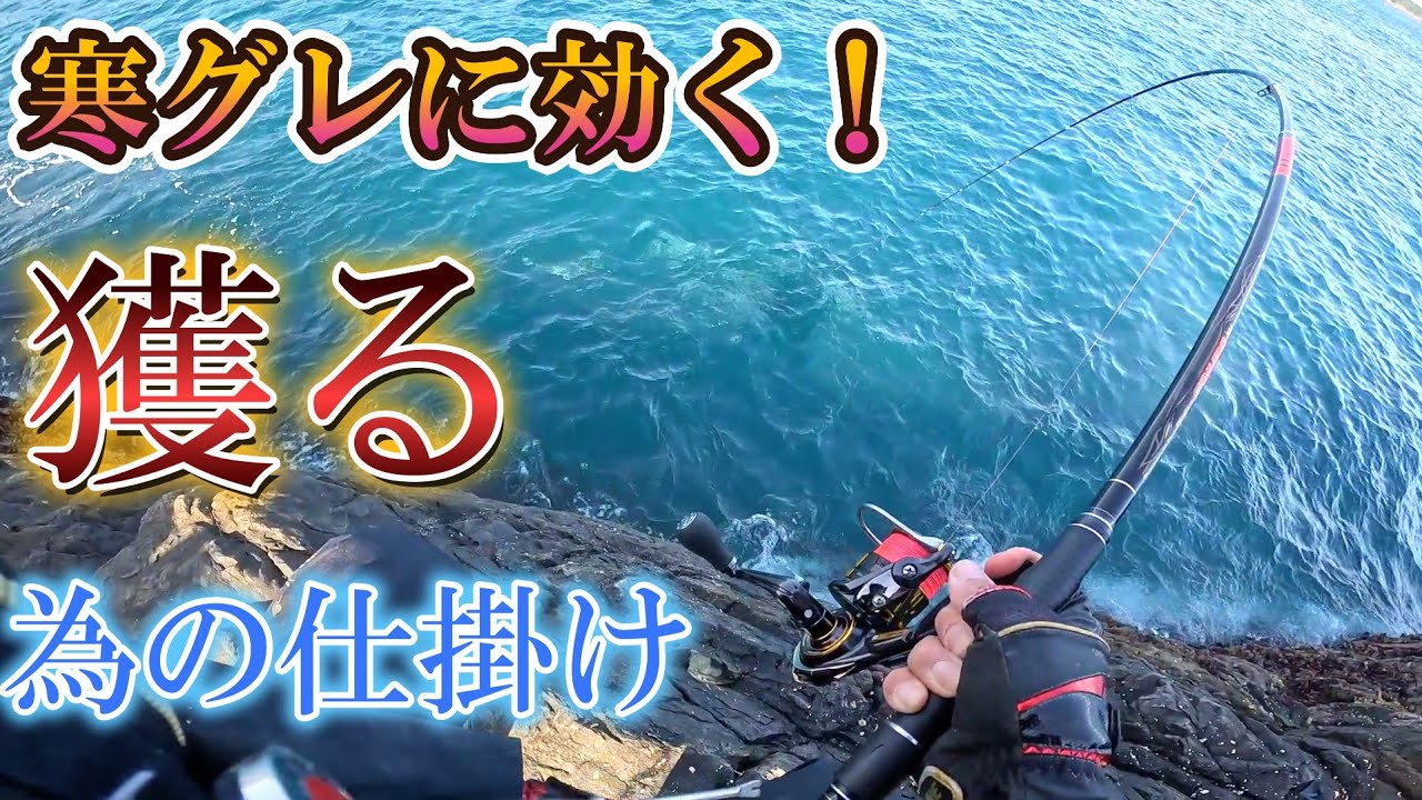 【磯グレ釣り】寒グレに効く‼️基本仕掛けで釣果を上げるテクニックを紹介‼️