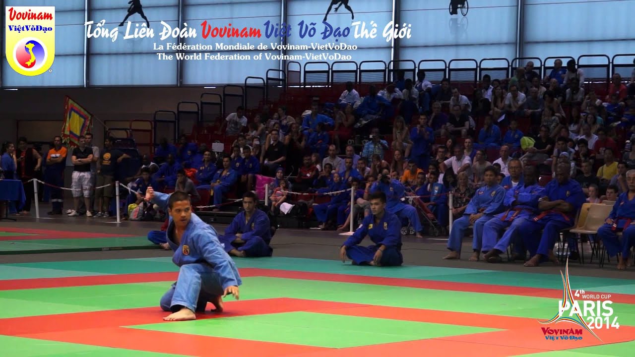 Final Lao Mai Quyen  - World Cup Vovinam Viet Vo Dao Paris 2014