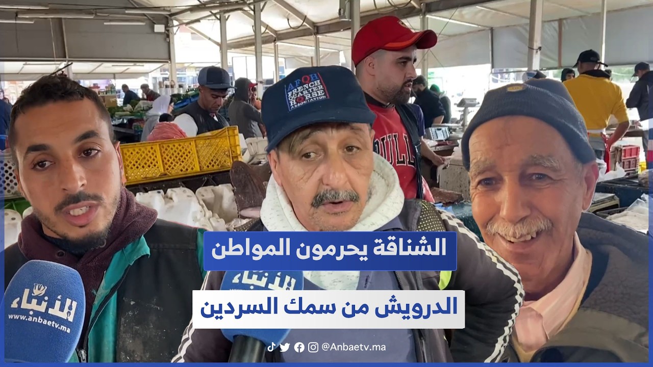 الشناقة يحرمون المواطن الدرويش من سمك السردين