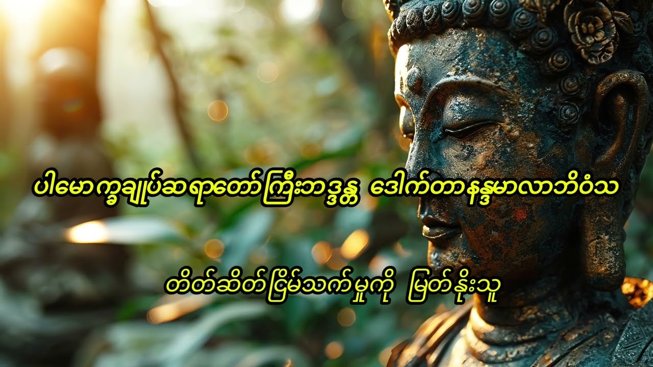 ပါမောက္ခချုပ်ဆရာတော်ကြီးဘဒ္ဒန္တ ဒေါက်တာနန္ဒမာလာဘိဝံသ( တိတ်ဆိတ်ငြိမ်သက်မှုကို မြတ်နိုးသူ)