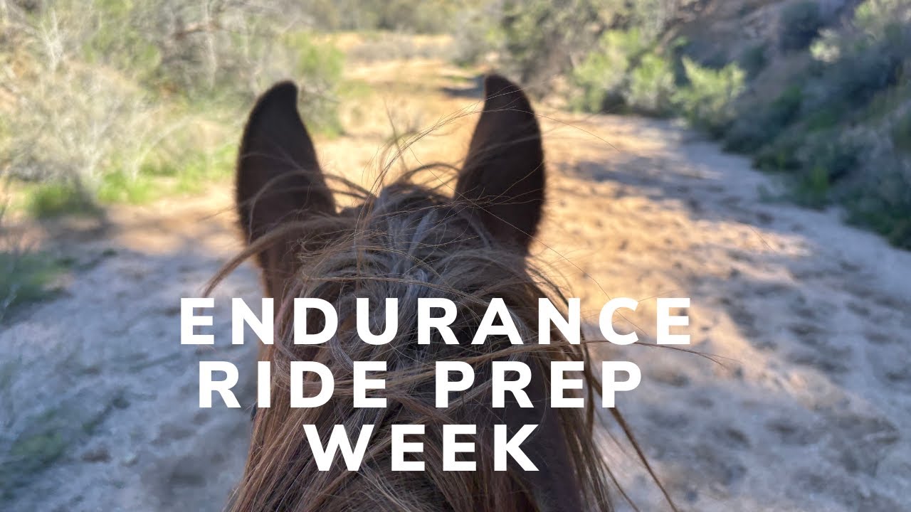 One Week Before an Endurance Ride: Prep for Horse and Rider