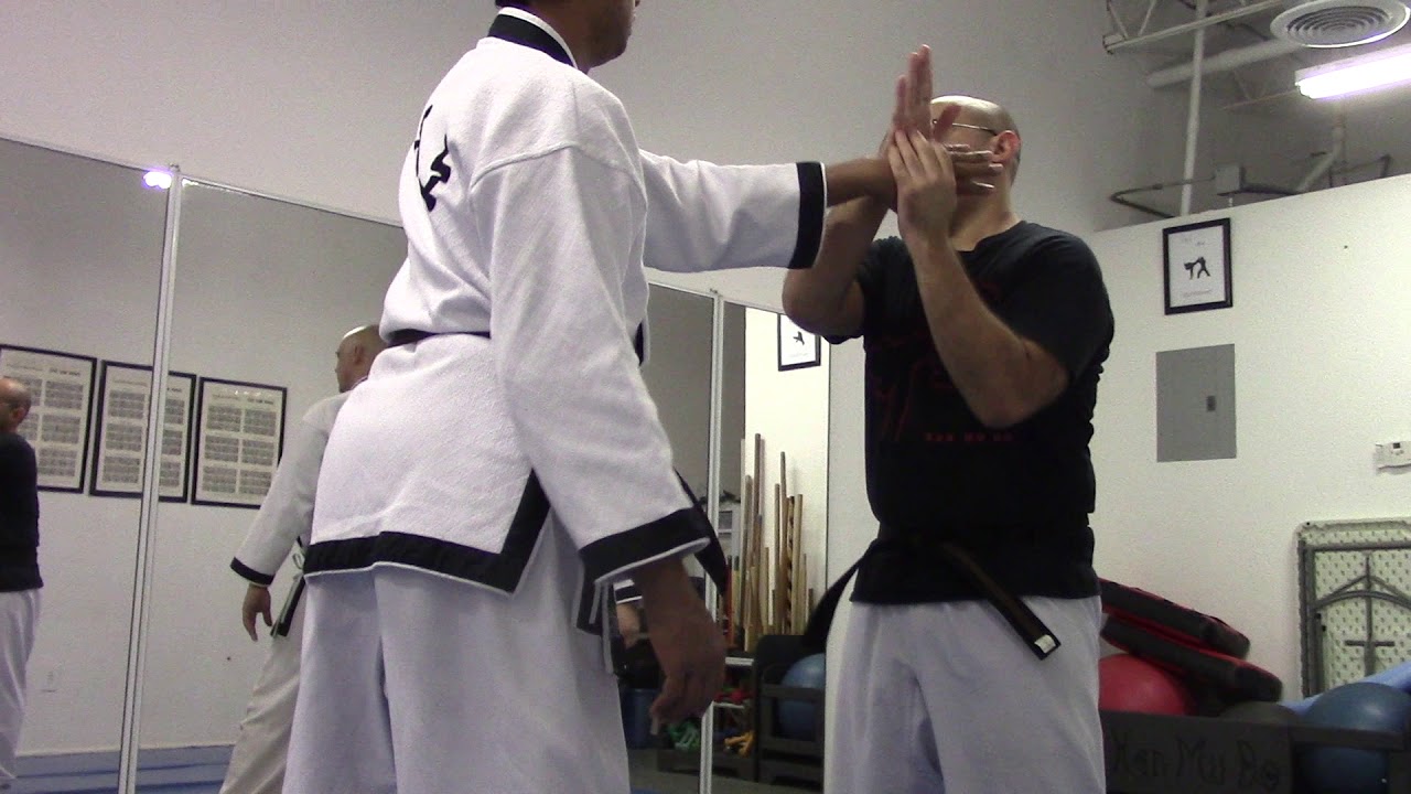 TRAINING, TECHNIQUES, & TRAINING South Florida Han Mu Do