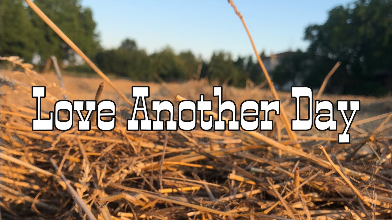 Love Another Day teach&dance