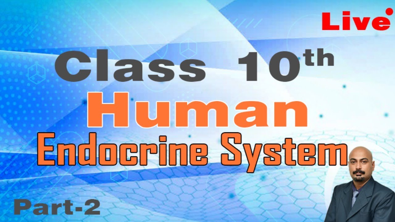 Class 10th || Human Endocrine System Part-2 ||