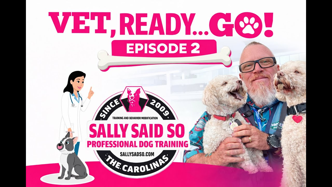 Vet, Ready...GO! Episode 2 