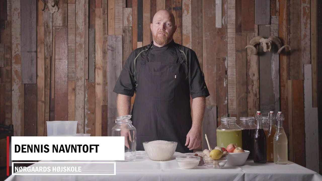 HØJSKOLE HACK:  Lav din egen vand kefir