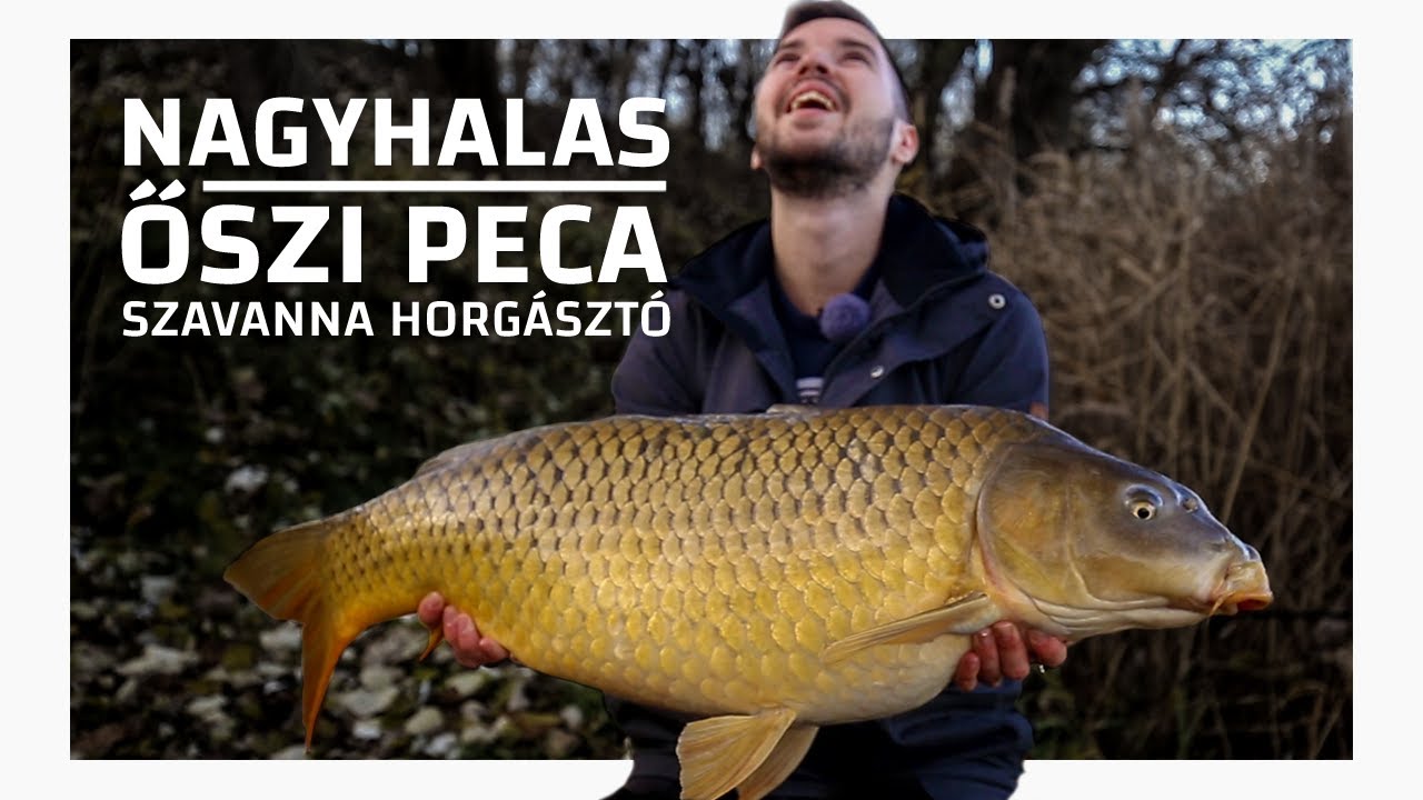 Nagyhalas őszi horgászat | Szavanna Horgásztó | 2019 november | B&V Fishing