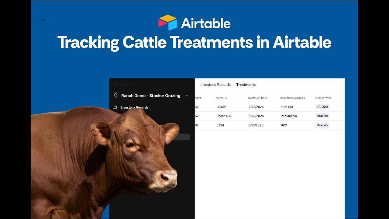 Tracking Cattle Treatments in Airtable