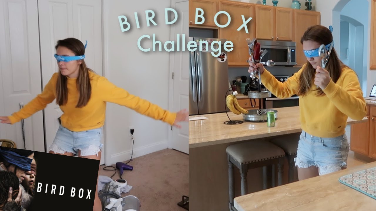 Bird Box challenge / Doing everything blindfolded!