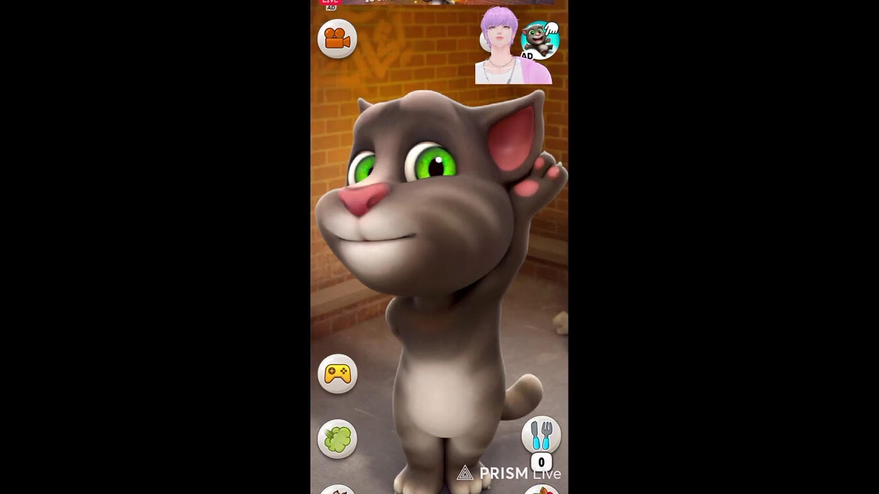 My Talking-tom Cat 2