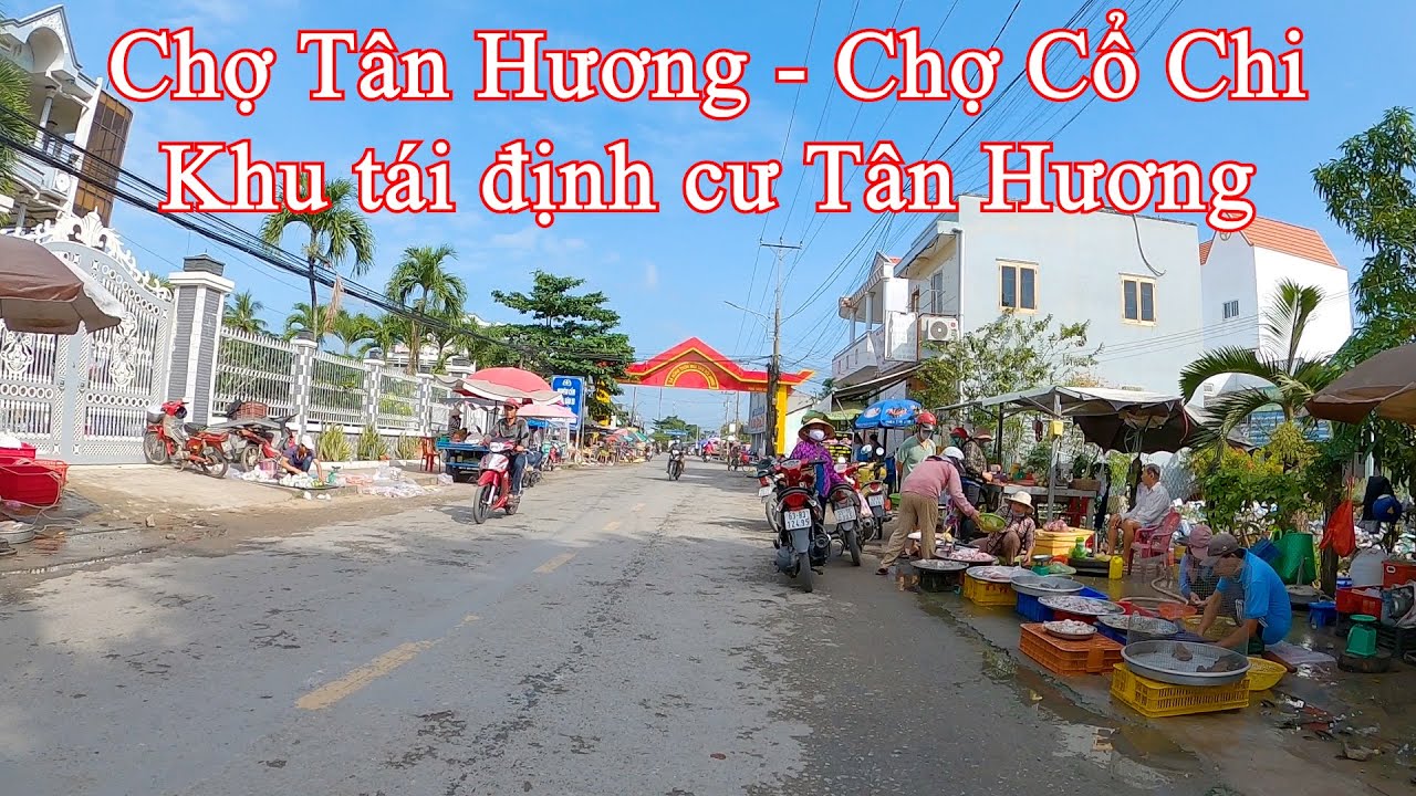 Chợ Tân Hương đến Chợ Cổ Chi | Tân Hương – Châu Thành – Tiền Giang 21-10-2022