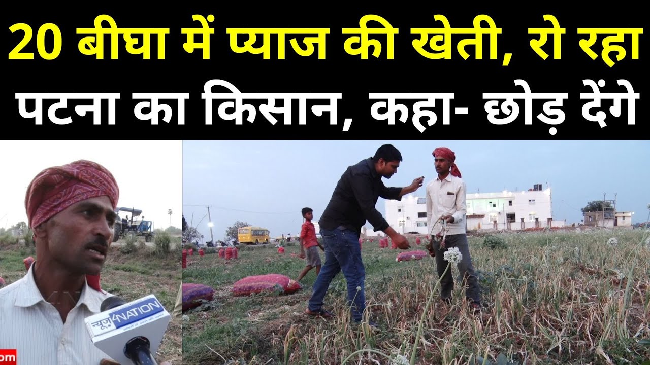 20 बीघा में प्याज की खेती करके भी रो रहा Patna का किसान, कहा- छोड़ देंगे । News4Nation