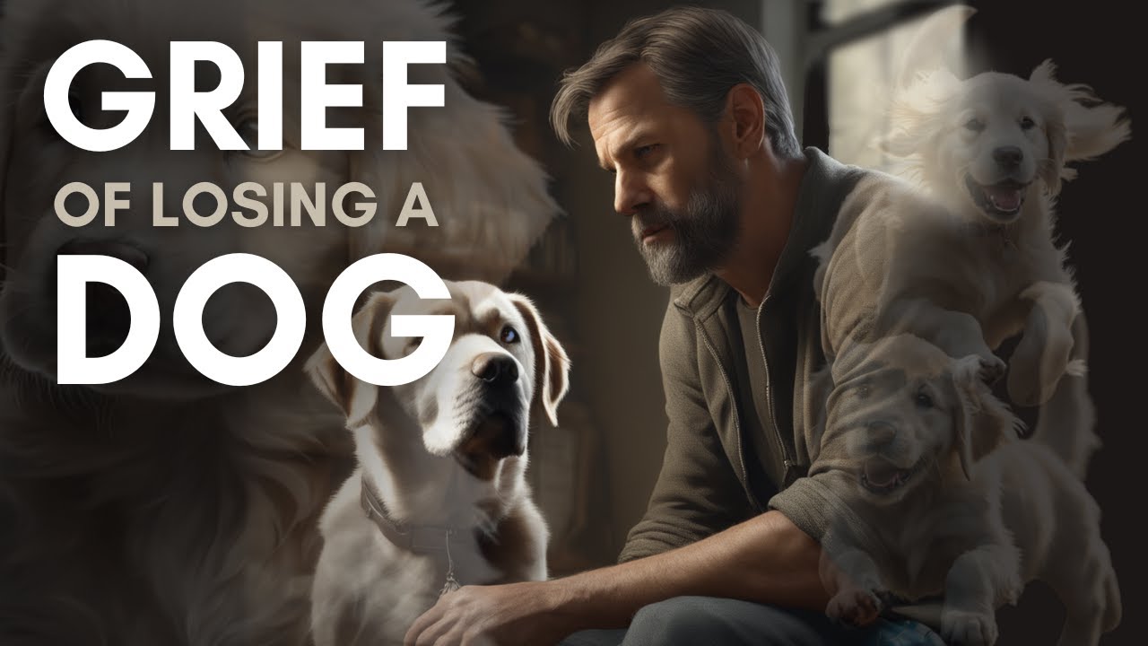 When Our Dogs Cross the Rainbow Bridge: A Guide to Grief and Healing