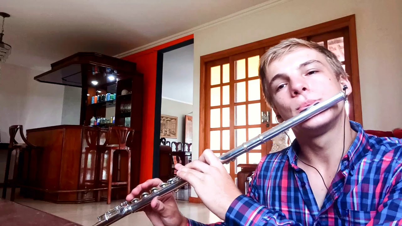 Imagine Dragons - Natural cover flauta transversal com notas