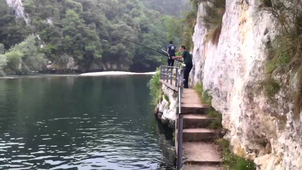4 kilos Collú