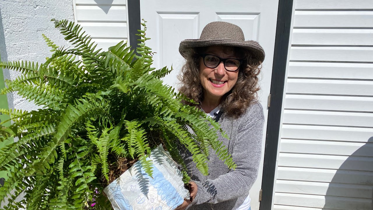 HOW TO RETAIN MOISTURE IN HANGING BASKETS!! USE A DIAPER🧷!