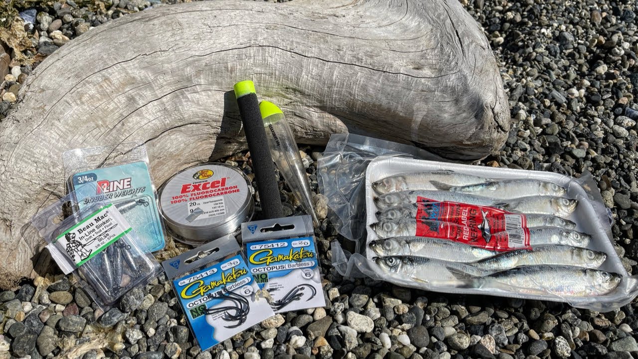 Float Fishing Herring for Coho | My Setup break down