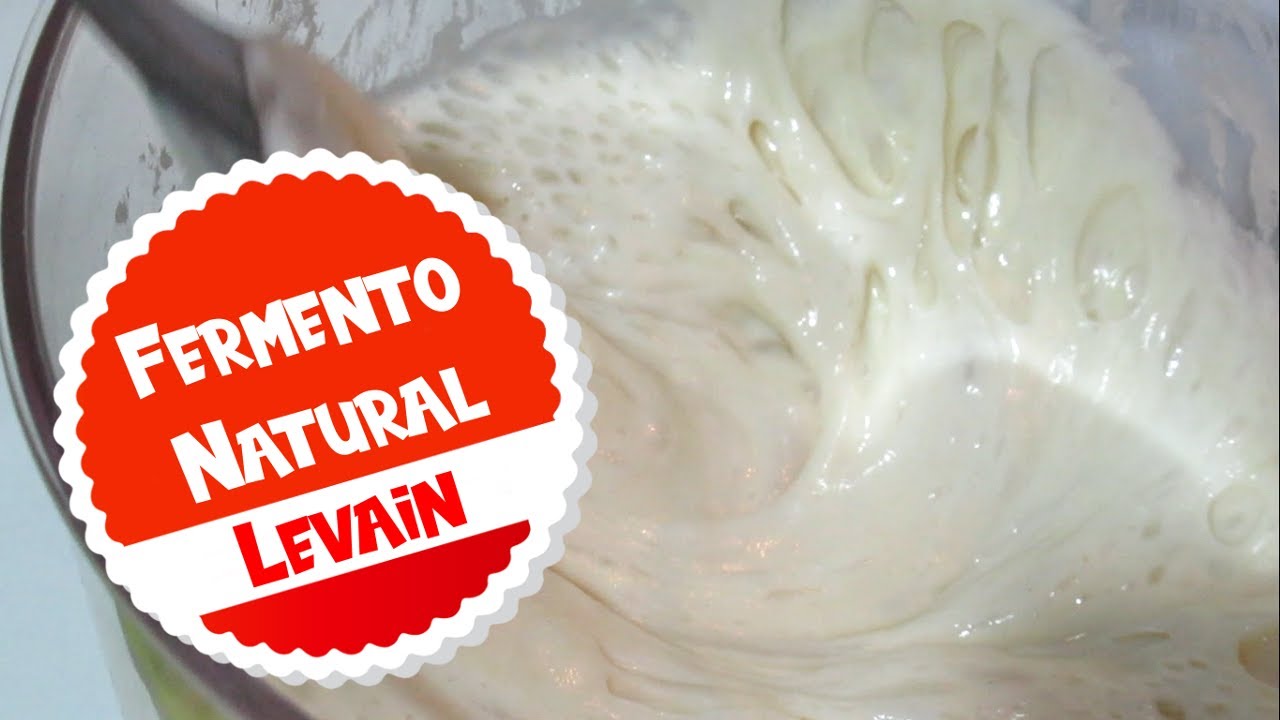 Como fazer fermento natural - Levain - Fermento de Iogurte (Vídeo 01)