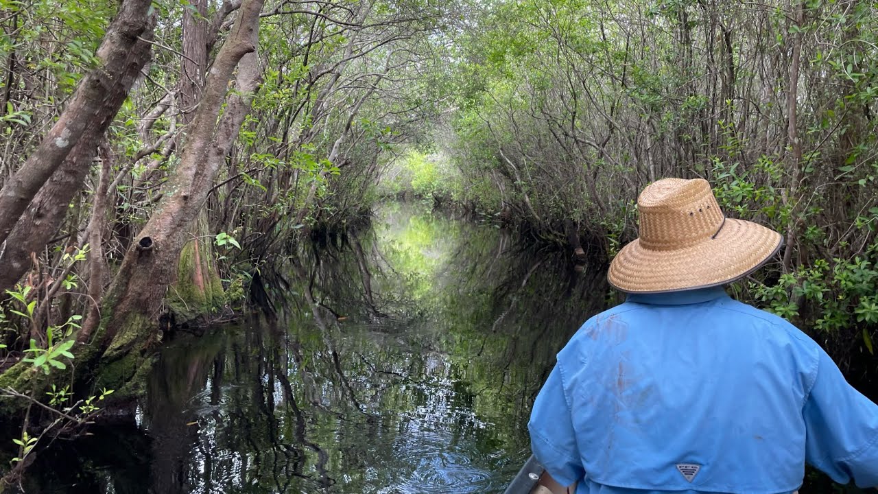 20 Mile Canoe Trip Deep in the Okefenokee Swamp!