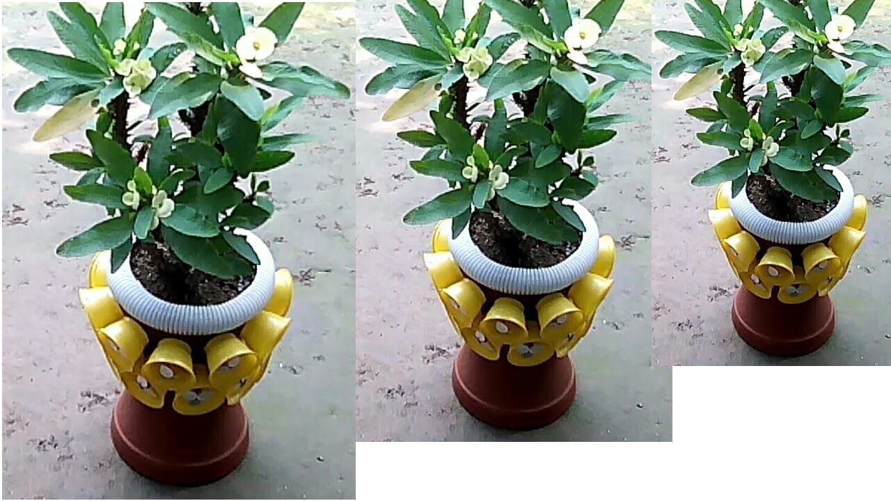 Beautiful tree pot decorating idea/Planter decoration for creative gardening