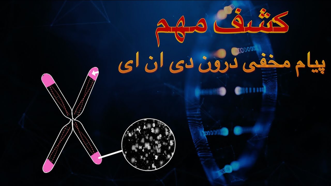 کشف یک پیام مخفی درون دی ان ای انسان