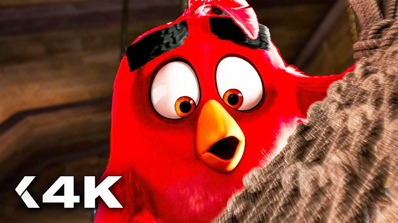 ANGRY BIRDS: LA PELÍCULA - Las Mejores Escenas