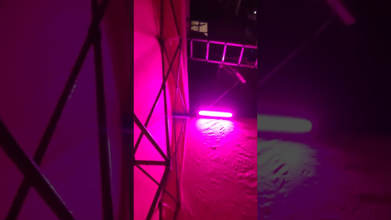 My badass glamping setup!!!