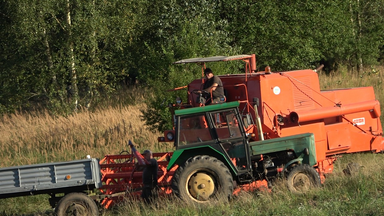 Bizon i Ursus Dwie maszyny rolnicze co lubią być razem