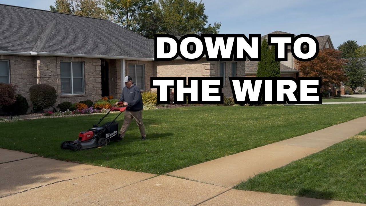It’s just a lawn renovation, what could possibly go wrong?