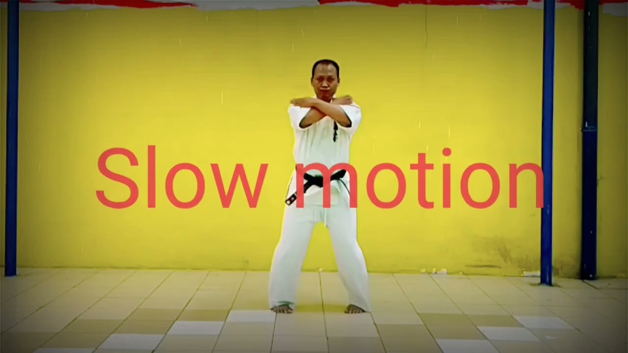 kyokushin karate kata yantsu + slow motion