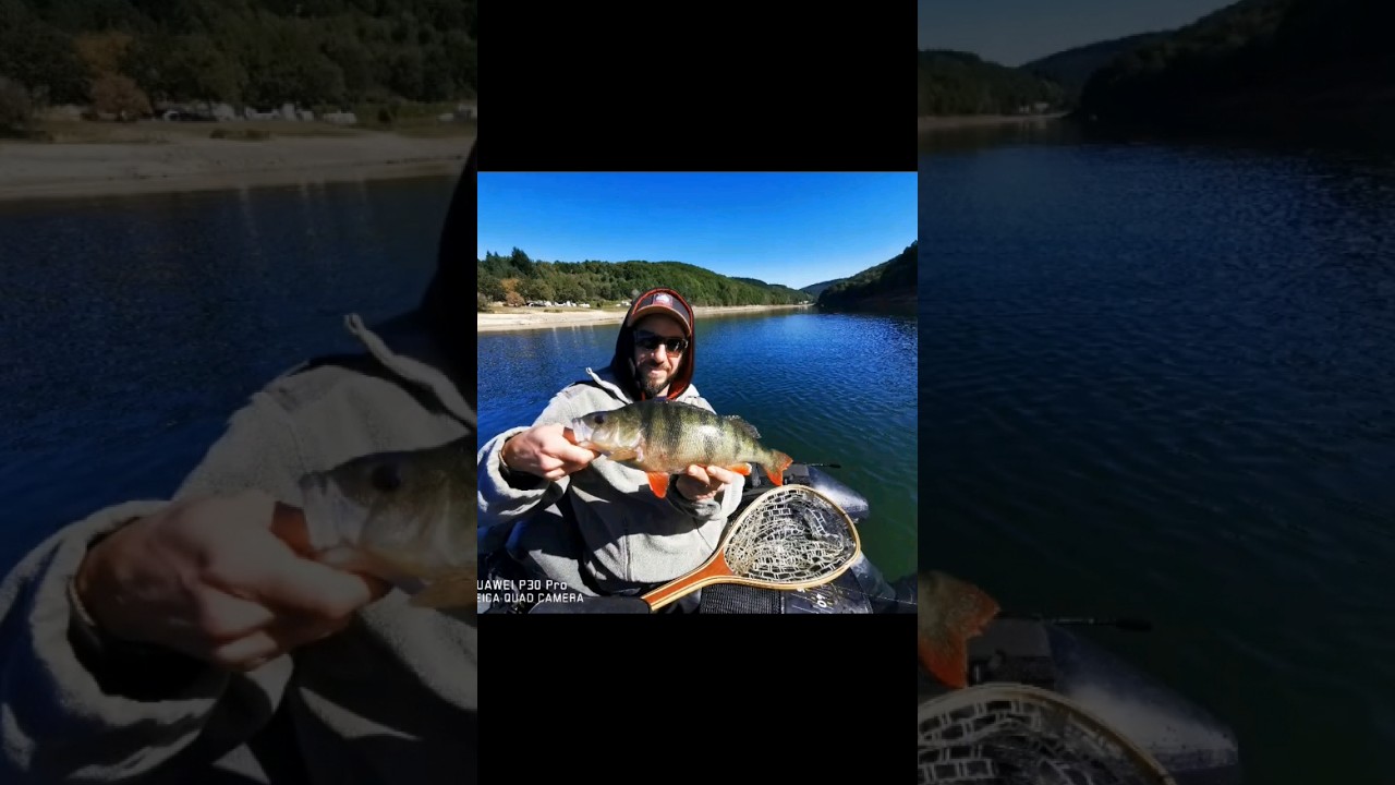 🎣💥Big Perch!💥🎣 Challenge Float-Tube Occitanie! 