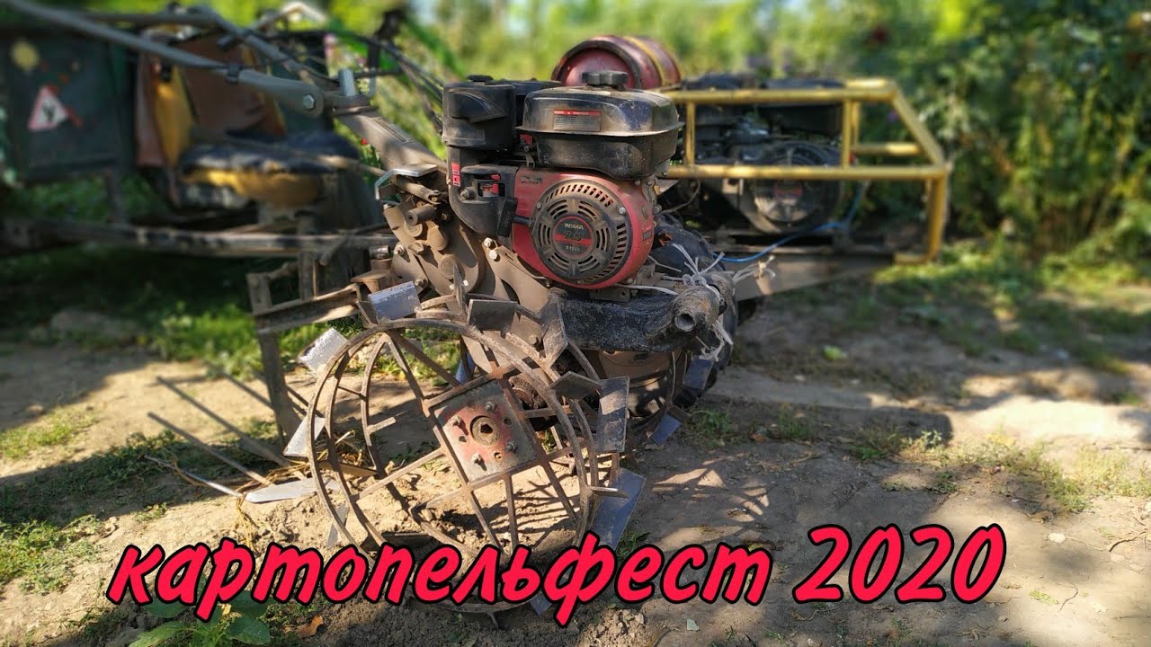 Як викопати картоплю мотоблоком Вейма 900-3