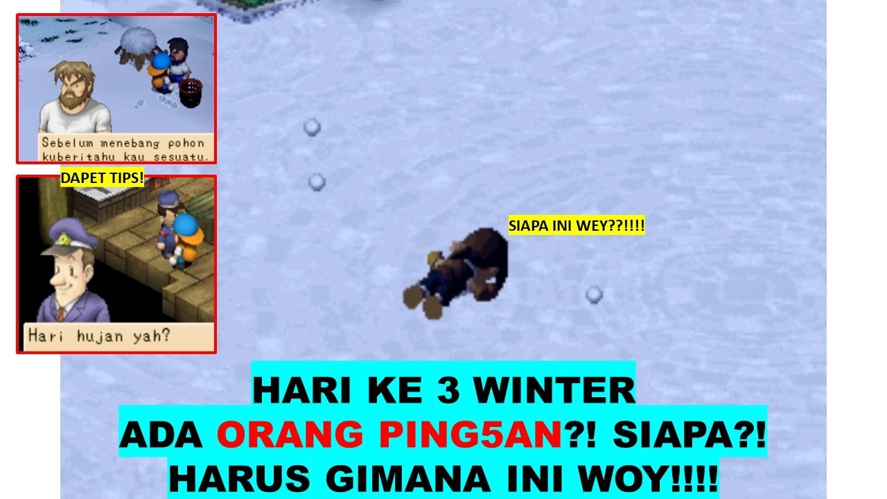 HARVEST MOON BACK TO NATURE HARI 3 WINTER MENOLONG ORANG PING5AN!