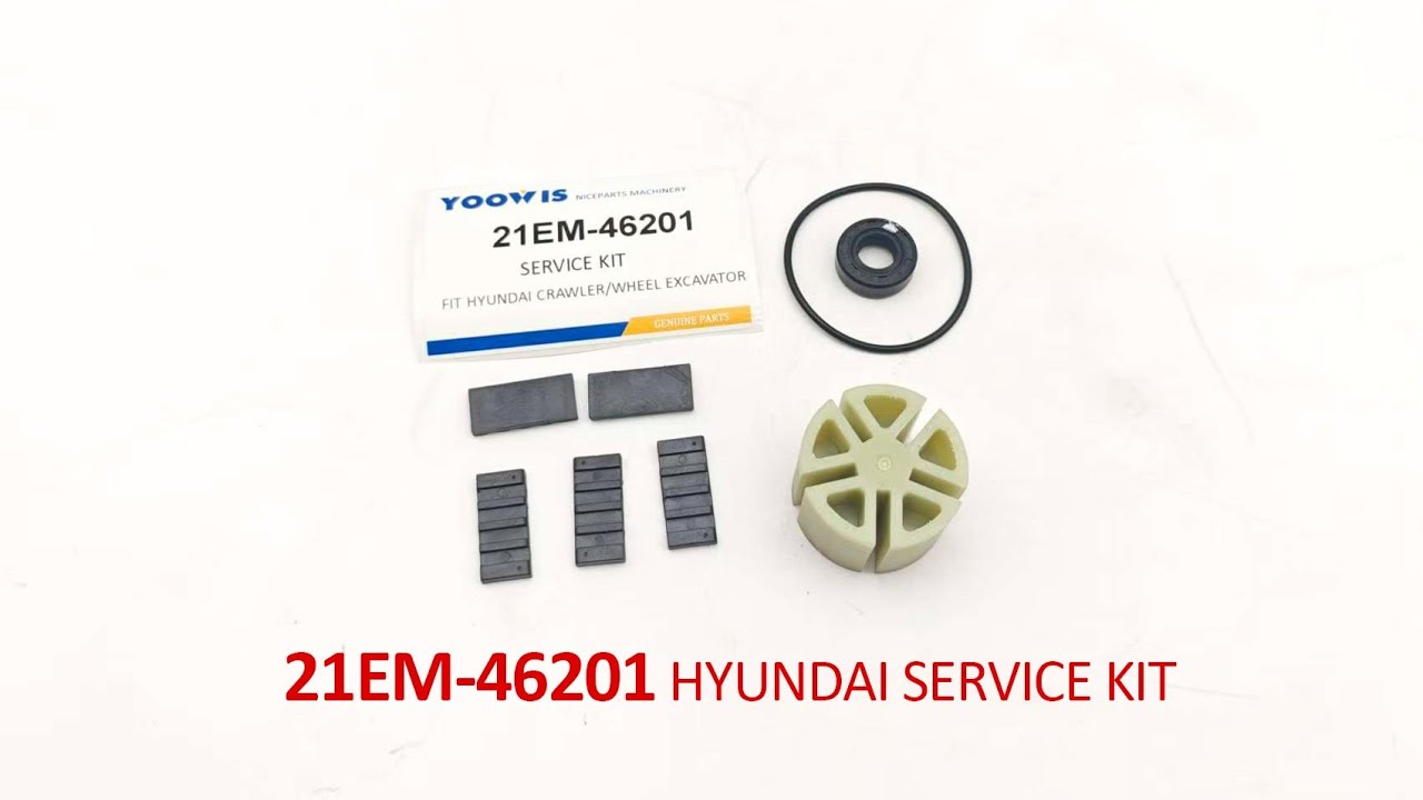 21EM-46201 Fuel Transfer Pump Service kit Repair Kit for Hyundai Excavator