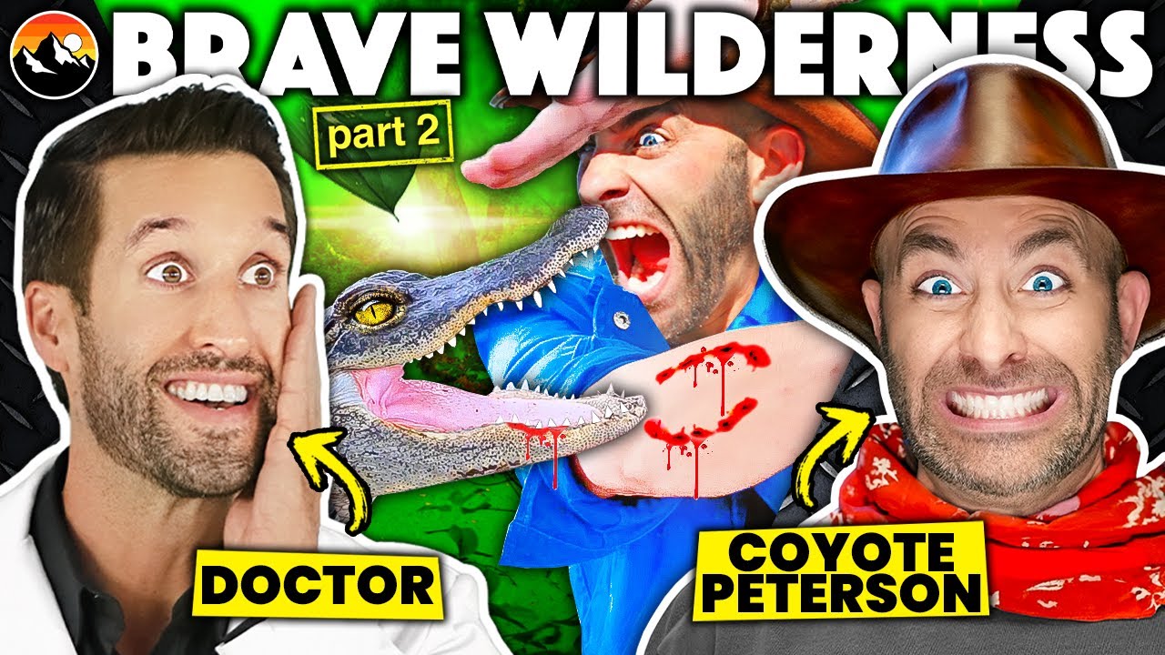 ВРАЧ и COYOTE PETERSON смотрят самые СМЕРТОНОСНЫЕ укусв из Brave Wilderness