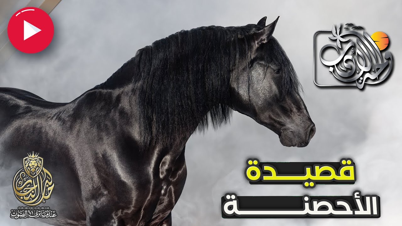 قصيدة الأحصنة | كل احتمالات الهزيمة ممكنة | للشاعر وليد الشواقبة | واحة الأدب | مع خالد النجار 🎤