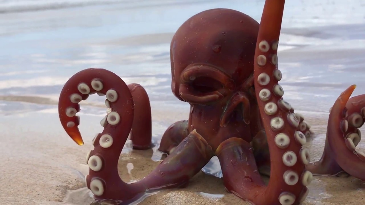 Scoz Glass x Wicked Glass collaboration