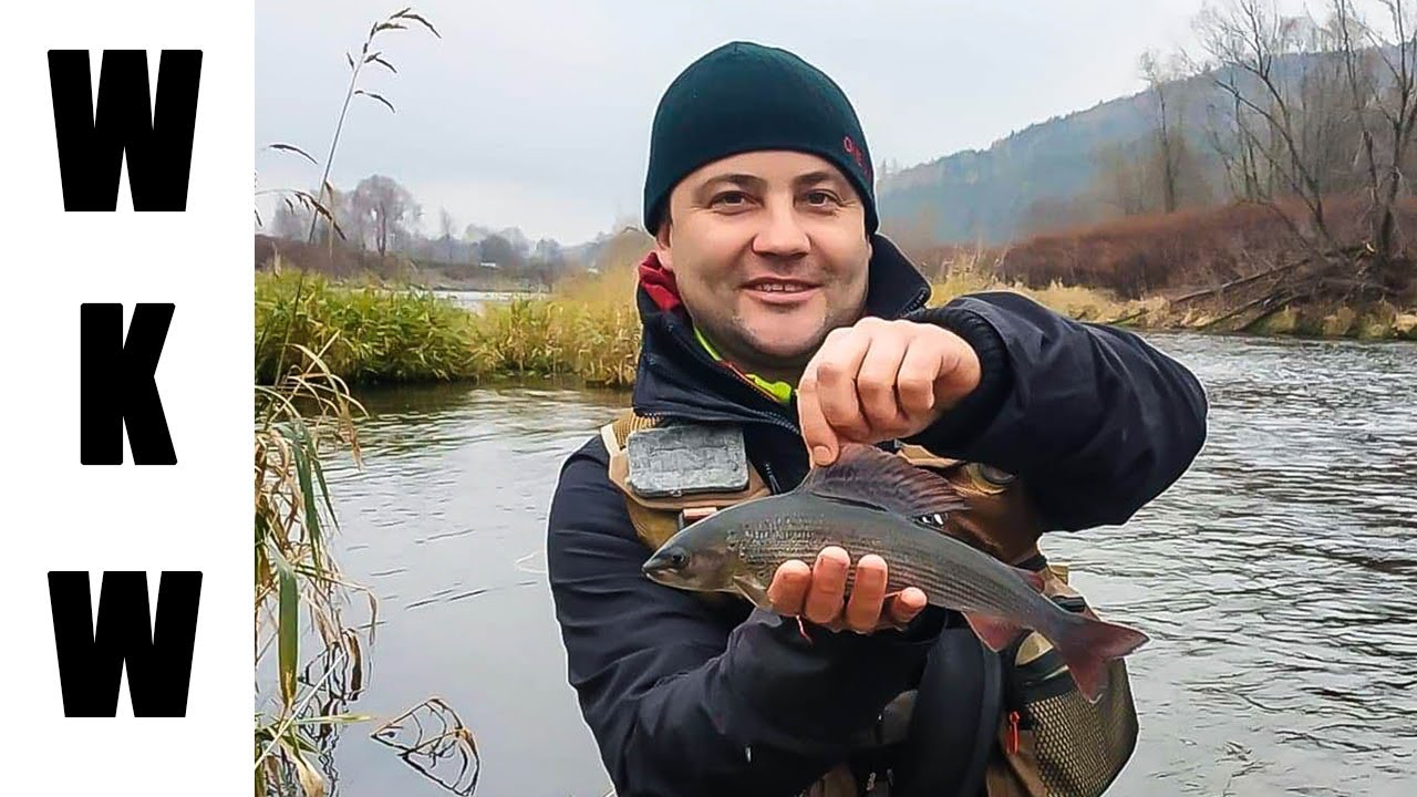 Emocje muszkarza! Lipienie na sucha muchę z g&oacute;rskiej wody | Wędkarstwo muchowe