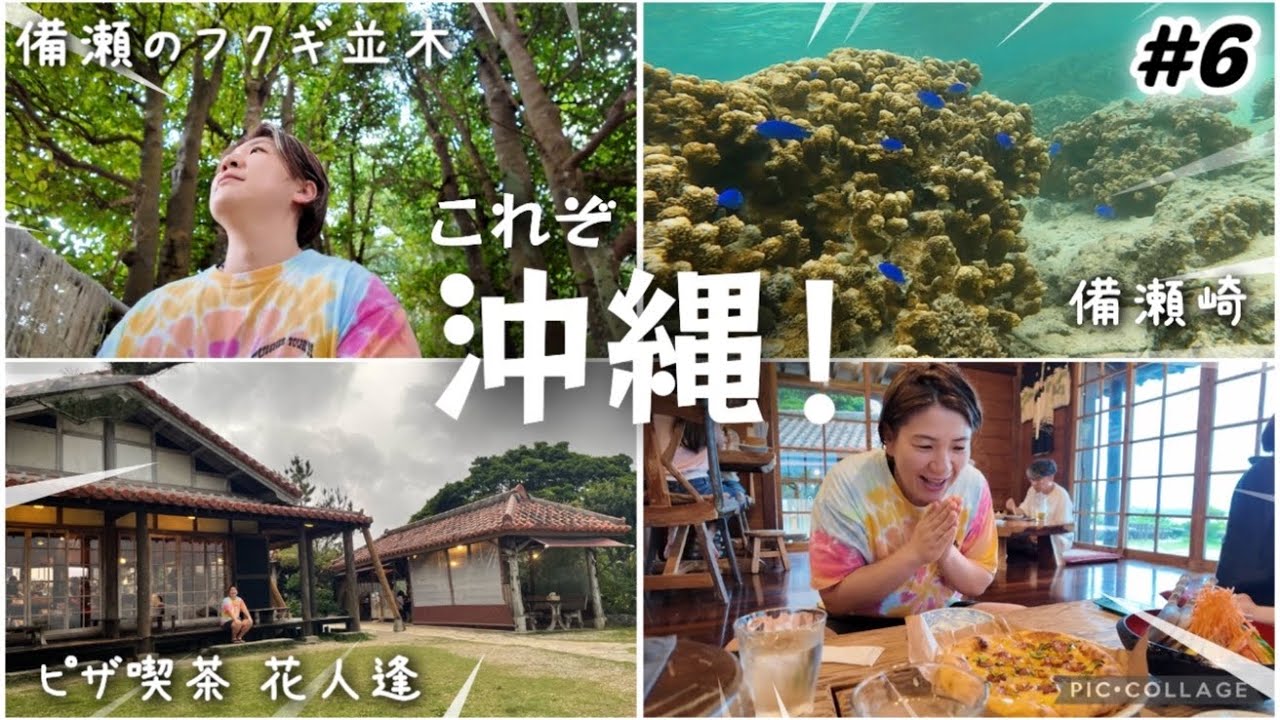 【#6】これぞ沖縄！な沖縄北部観光。備瀬のフクギ並木/備瀬崎海岸/ピザ喫茶 花人逢/道の駅許田/名護 かねひで喜瀬ビーチパレス 木々に癒され海に癒され食が美味しい沖縄旅行。のんびり旅vlog