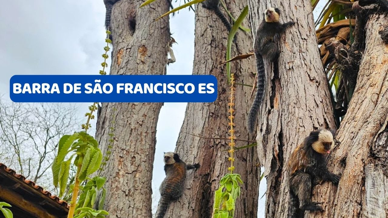 Barra de São Francisco ES - Passeio da Rota 408 pelo Estado do Espírito Santo - 15° Temp - Ep 23