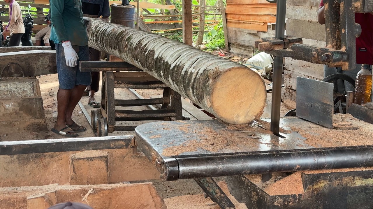 Steps to Saw a Coconut Tree 5x7 with High Accuracy