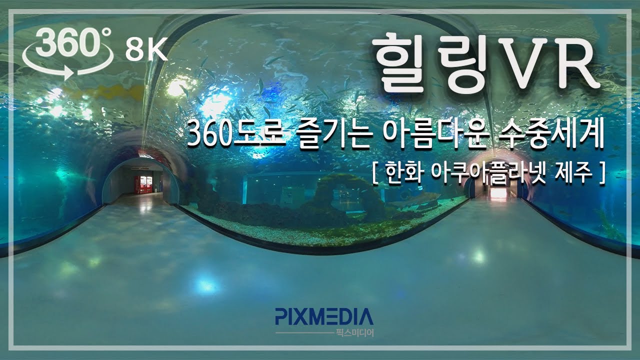 [360 VR 영상] 아름다운 수중세계 360도 힐링VR_8K  | 360 VR healing! Beautiful underwater world (8K)