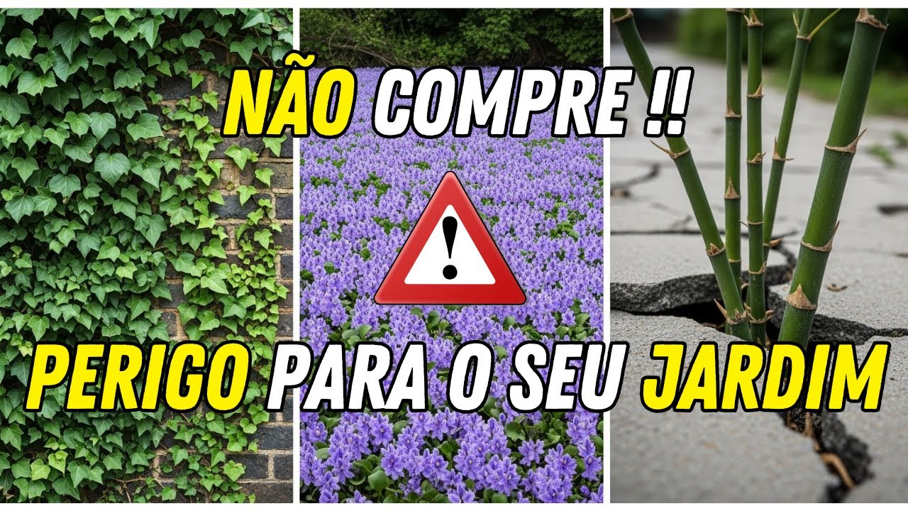As 8 plantas mais invasivas que você Nunca deve comprar em um viveiro.