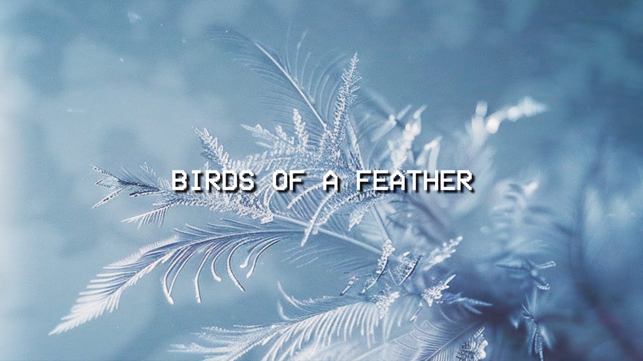 Lone Tusker - Birds Of A Feather (Deep House Remix)