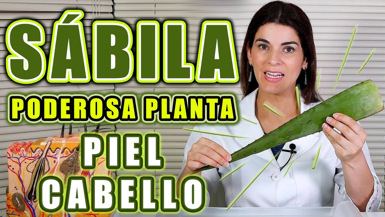 ¡Usa ALOE VERA! ANTIARRUGAS, MANCHAS en la PIEL, ACNÉ - Recetas para el Rostro y el Cabello