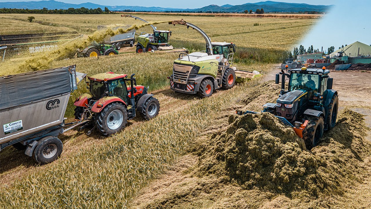 Trinciatura XXL alla LineaVerde | 2X Claas Jaguar 980 | Black John Deere 6175R | 8X rimorchi