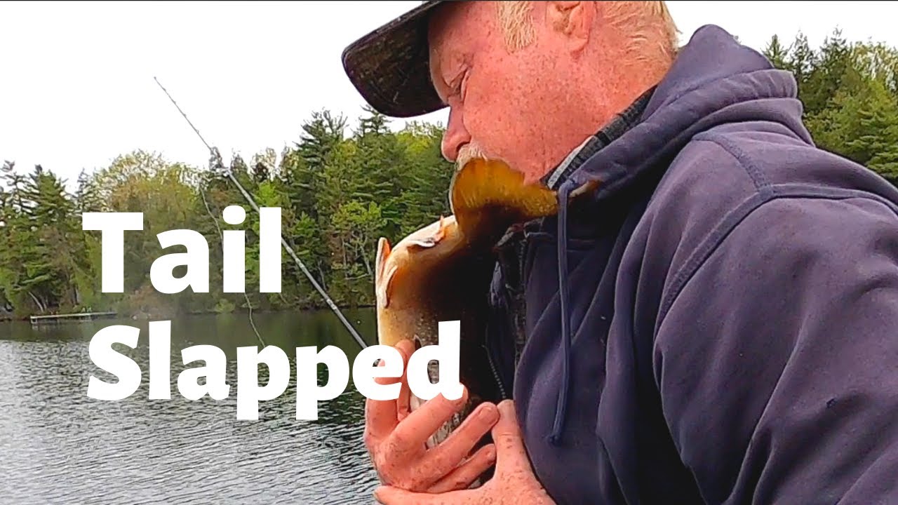 Splake with Dodgers and Smelts | Trolling Maine S3 Ep.5