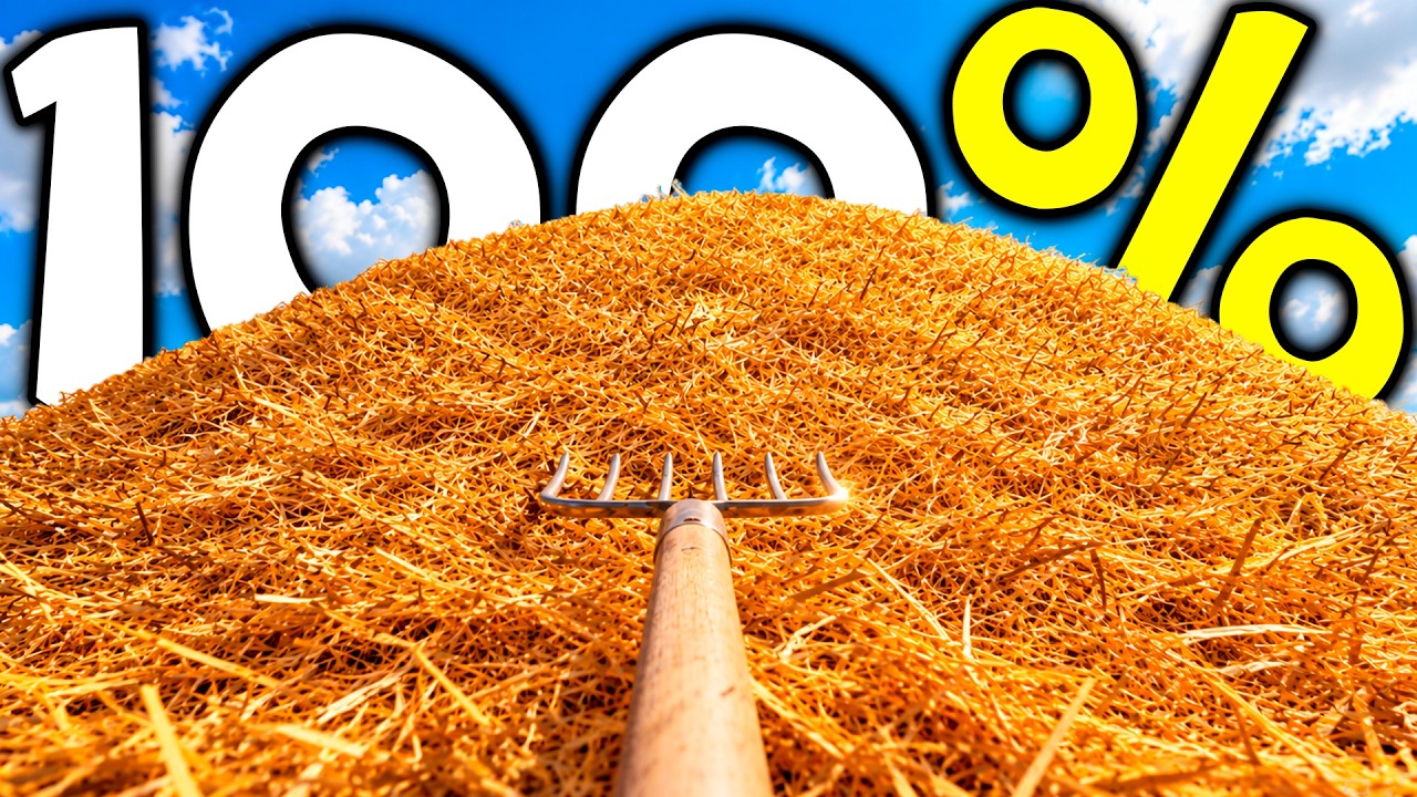 Я прошел Find The Needle на 100%