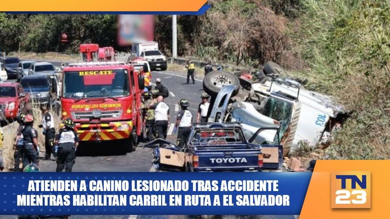 Atienden a canino lesionado tras accidente mientras habilitan carril en ruta a El Salvador