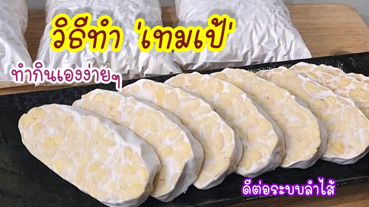 ทำง่ายเกิน!! วิธีทำเทมเป้ Tempeh ถั่วเหลืองหมัก เคล็ดลับไม่เหม็นเขียว ถั่วเหลืองช่วยลดน้ำหนักได้ดี